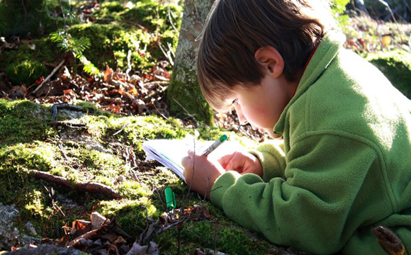 Featured image for “Notre sélection d’applis et activités pour faire découvrir la nature aux enfants”