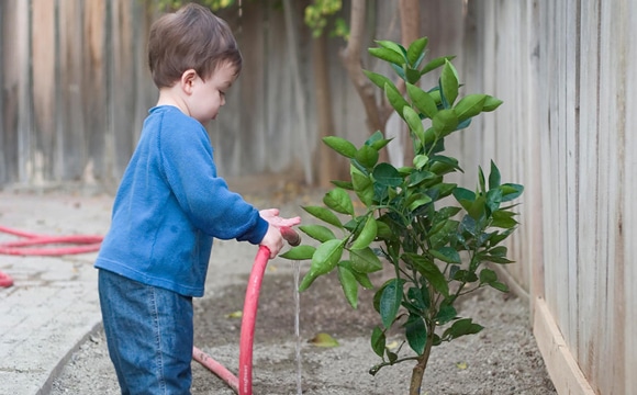 Pourquoi ne pas arroser des fleurs avec maman ou papa ?