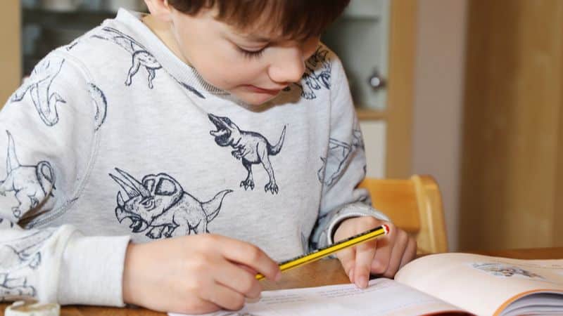 Featured image for “Les Devoirs à la Maison en Primaire interdits”